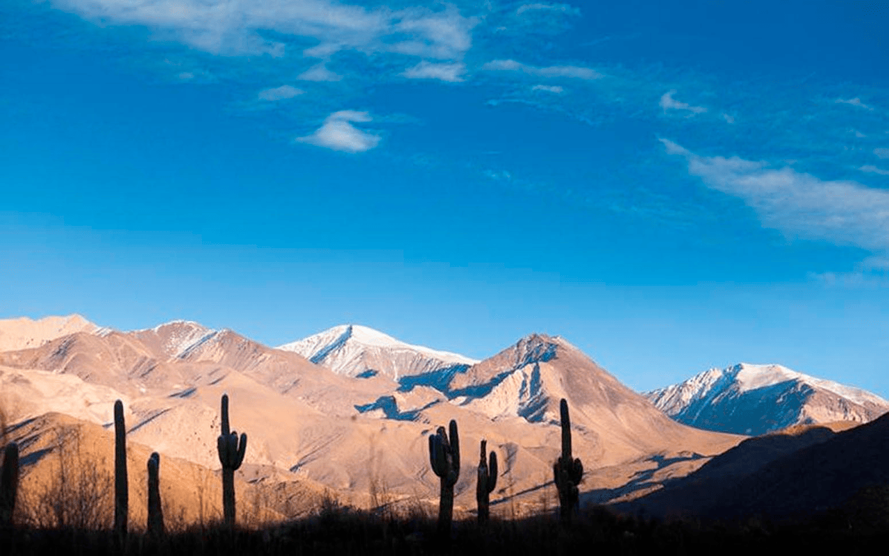 Combo 4: Cachi y Humahuaca