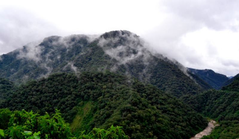 Yungas y sus paisajes